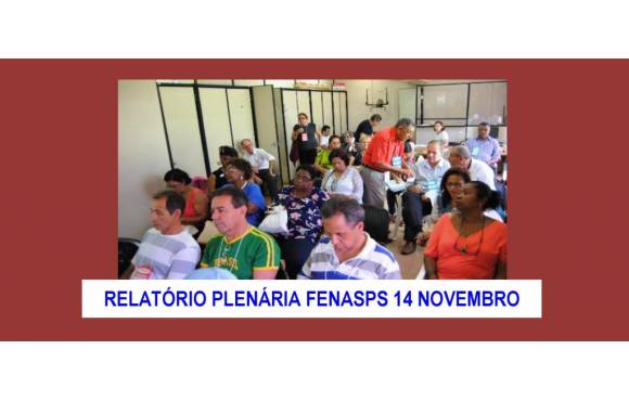RELATÓRIO PLENÁRIA FENASPS
