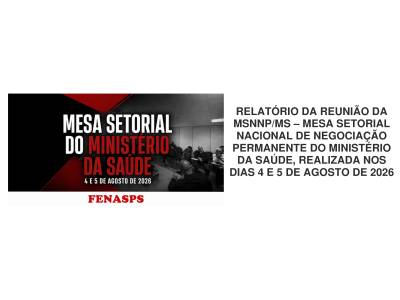 RELATÓRIO DA REUNIÃO DA MSNNP/MS 