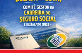 MAIS DE UMA DÉCADA DE LUTA