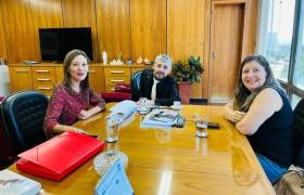 REUNIÕES NO MPS E INSS