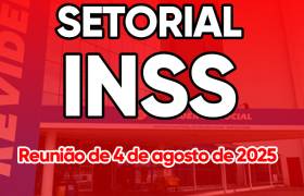 Mesa Setorial do INSS
