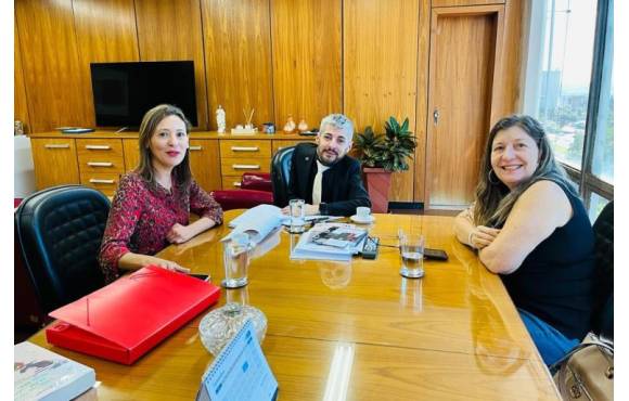 REUNIÕES NO MPS E INSS