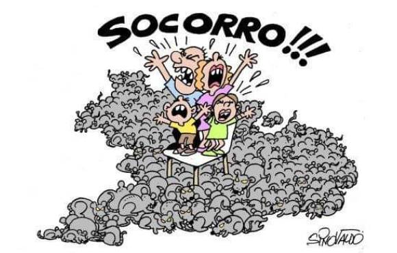 O PARTO DA MONTANHA E AUTO GOLPE DE BOLSOVERME!
